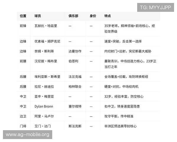 2026年世界杯瑞典对阵突尼斯比赛中的反击战术分析与战术亮点解析